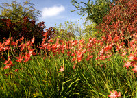 Wakehurst Place, Ardingly West Sussex